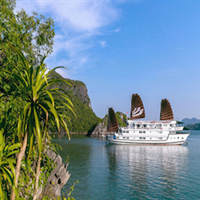 3 Tage • Syrena Cruise: Halong Bucht - Nord Vietnam