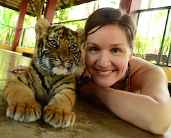 Chiang Mai Halbtages Tour Tiger Kingdom Privat