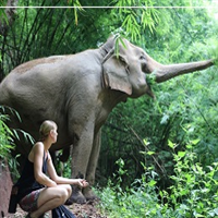 2 Tage Elefantenpflege - Ein Erlebnis in der Eco Lodge